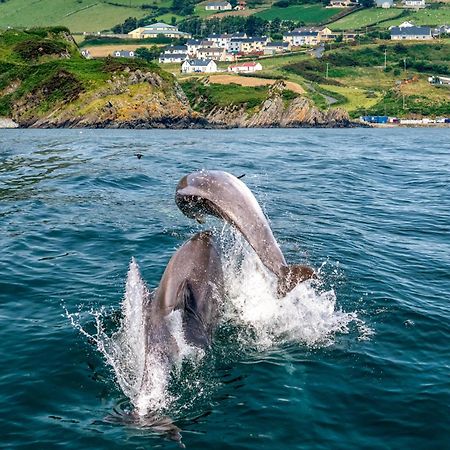 Realt Na Mara Villa Killybegs Ngoại thất bức ảnh