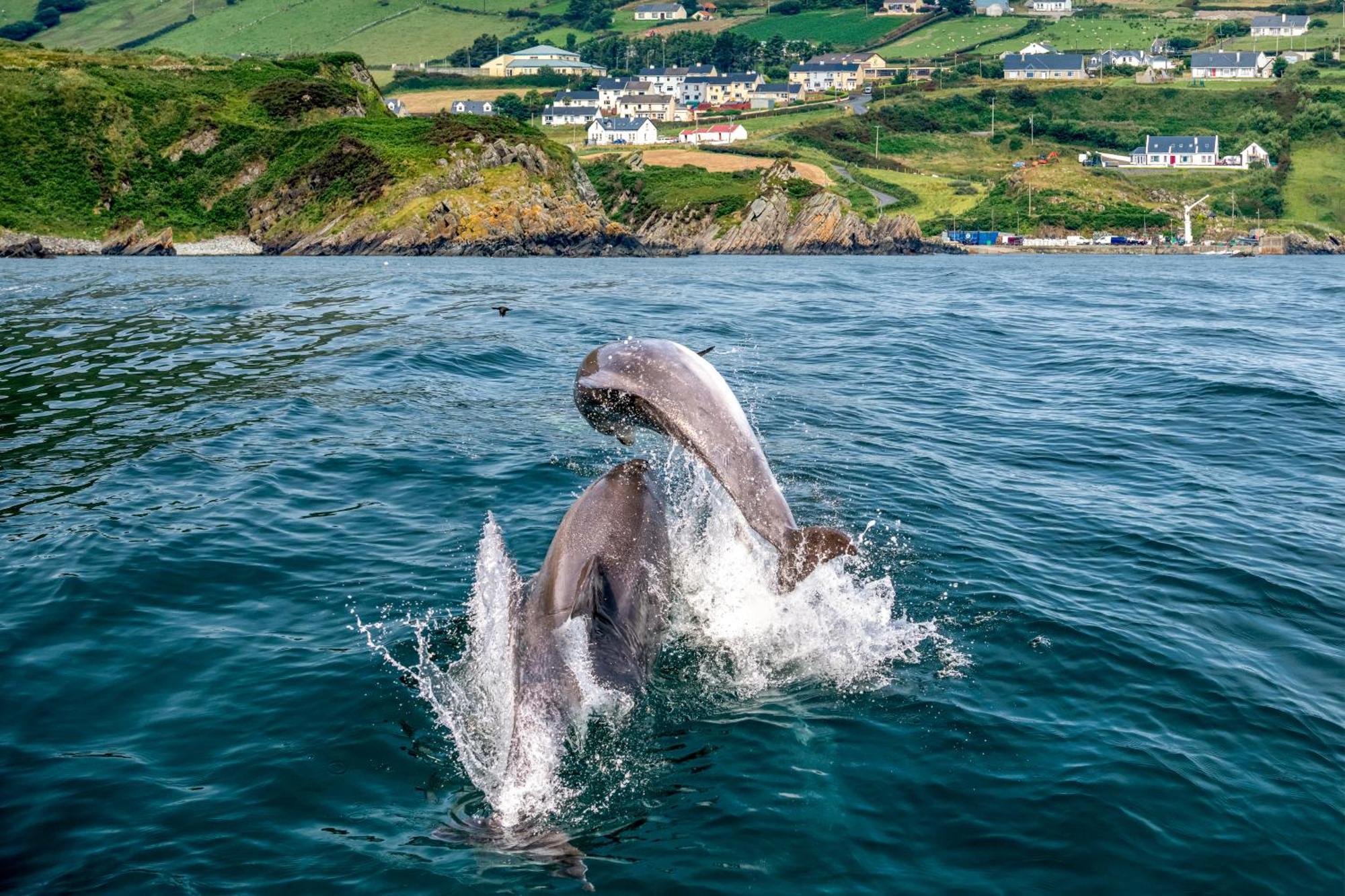 Realt Na Mara Villa Killybegs Ngoại thất bức ảnh